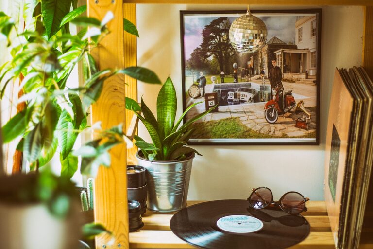 How to Refresh Your Home with Plants: A Complete Guide